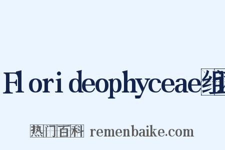 Florideophyceae组词是什么意思的图片